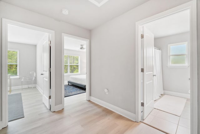 hall with a healthy amount of sunlight, baseboards, and light wood-style floors