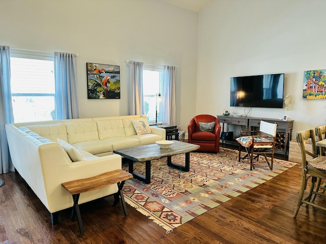 living room with a high ceiling, a healthy amount of sunlight, and wood finished floors