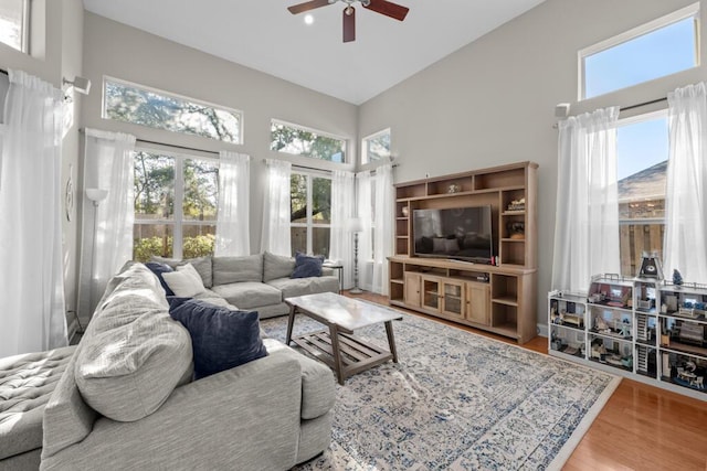 living area with ceiling fan, plenty of natural light, a high ceiling, and wood finished floors