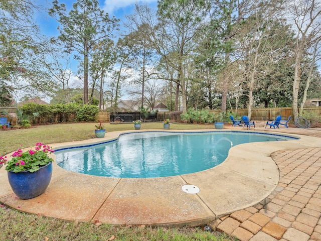 view of pool featuring a patio, a fenced backyard, a fenced in pool, and a lawn