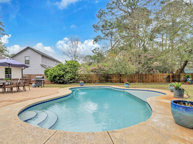 view of pool featuring grilling area, a patio, a fenced in pool, and fence private yard