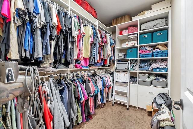 spacious closet featuring carpet flooring