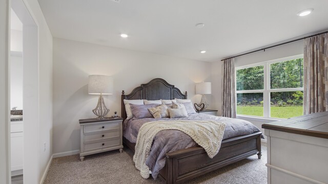 217 Eunola Ln, Freeport, FL 32439 - bedroom featuring recessed lighting, carpet flooring, and baseboards