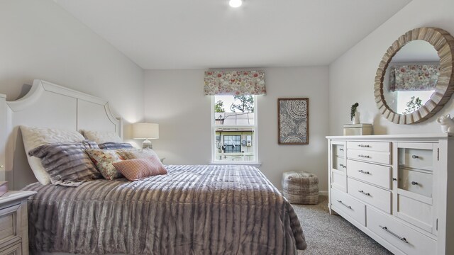 217 Eunola Ln, Freeport, FL 32439 - bedroom with carpet floors