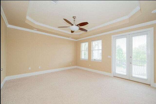 spare room with a tray ceiling, light carpet, and a healthy amount of sunlight