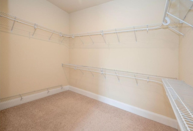 spacious closet with carpet flooring