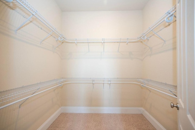 walk in closet with carpet floors