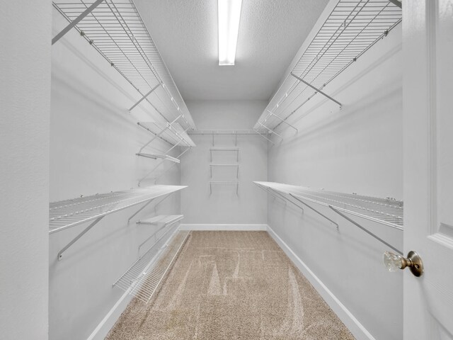 walk in closet featuring carpet floors