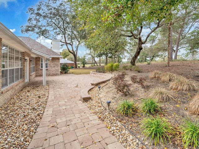 view of yard featuring a patio area