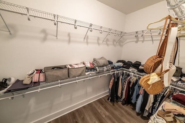 spacious closet with wood finished floors