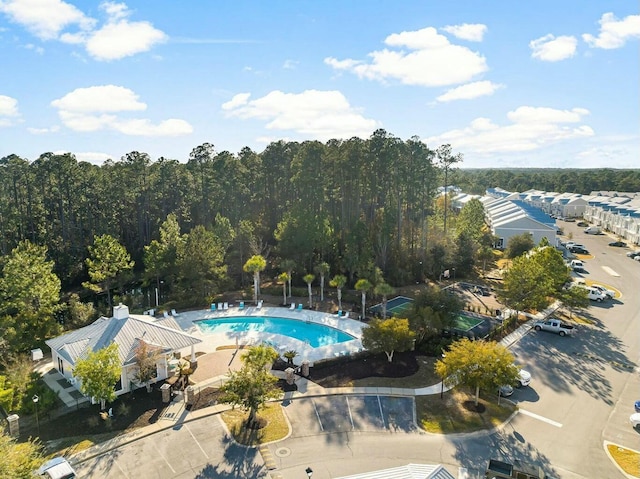 view of swimming pool