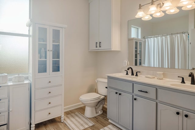 bathroom featuring toilet, wood finished floors, and a sink