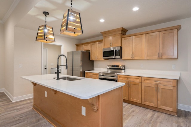 kitchen with light wood finished floors, a kitchen island with sink, appliances with stainless steel finishes, and a sink