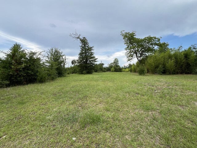6807 John Pitts Rd, Panama City, FL 32404 - photo 1