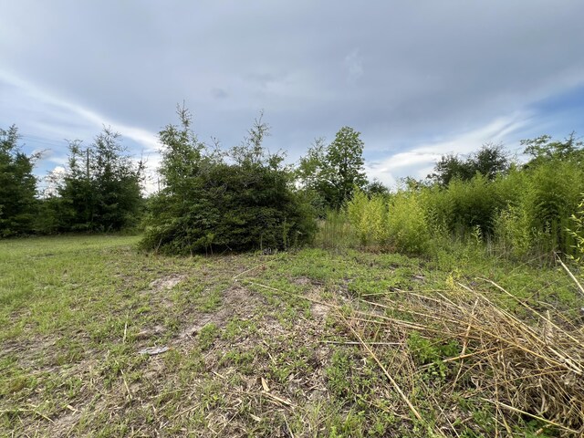 6807 John Pitts Rd, Panama City, FL 32404 - photo 3