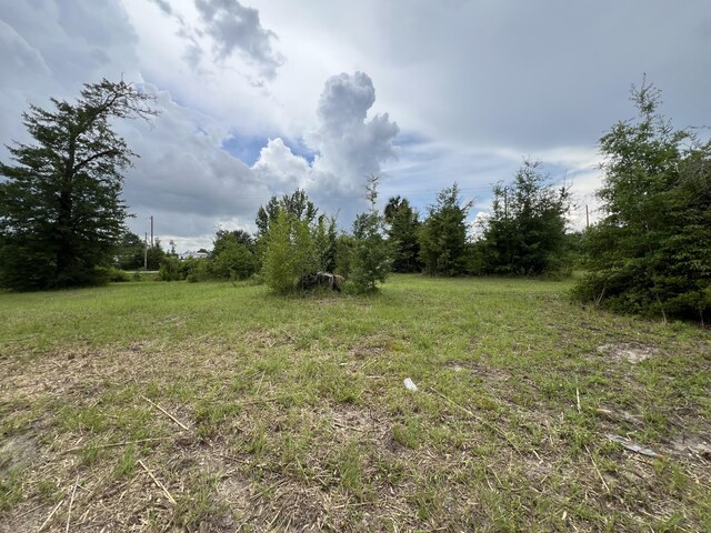 6807 John Pitts Rd, Panama City, FL 32404 - photo 4