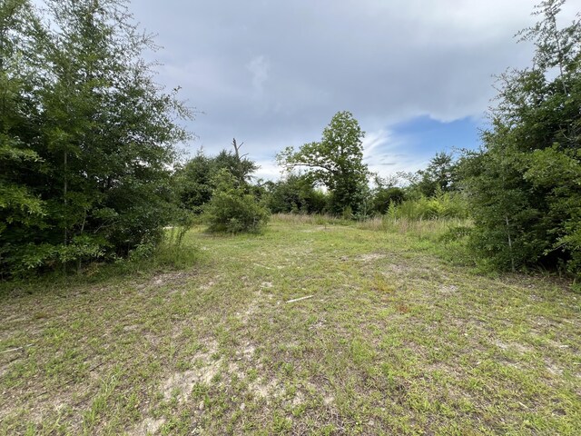 6807 John Pitts Rd, Panama City, FL 32404 - photo 5