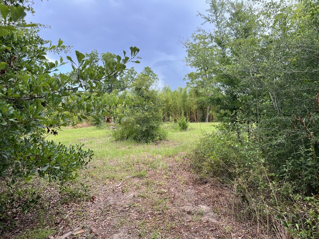 6807 John Pitts Rd, Panama City, FL 32404 - photo 9