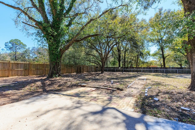 view of yard featuring a fenced backyard and a patio area