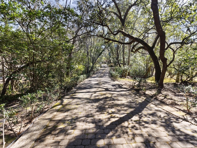 view of street with a wooded view