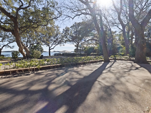 view of road with a water view