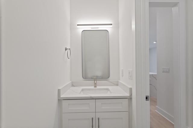 bathroom with wood finished floors and vanity