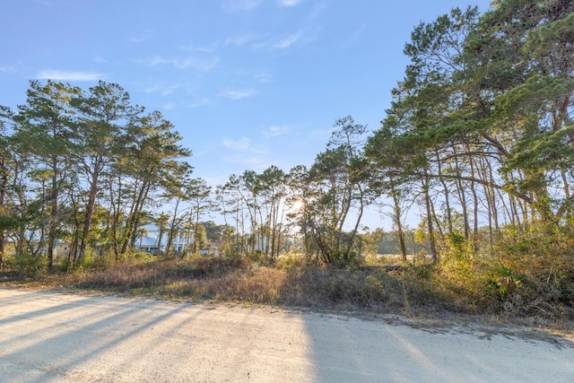 13 High Ridge Cir, Inlet Beach, FL 32461