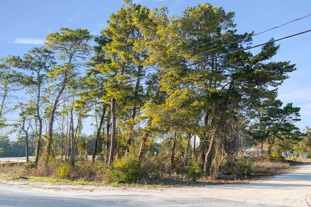 13 High Ridge Cir, Inlet Beach, FL 32461