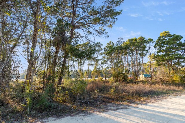 13 High Ridge Cir, Inlet Beach, FL 32461