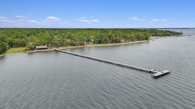 bird's eye view featuring a water view and a forest view