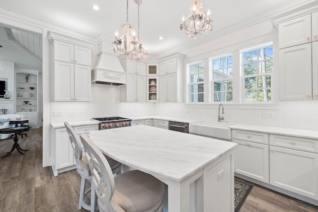 kitchen featuring custom exhaust hood, wood finished floors, stainless steel appliances, and a sink