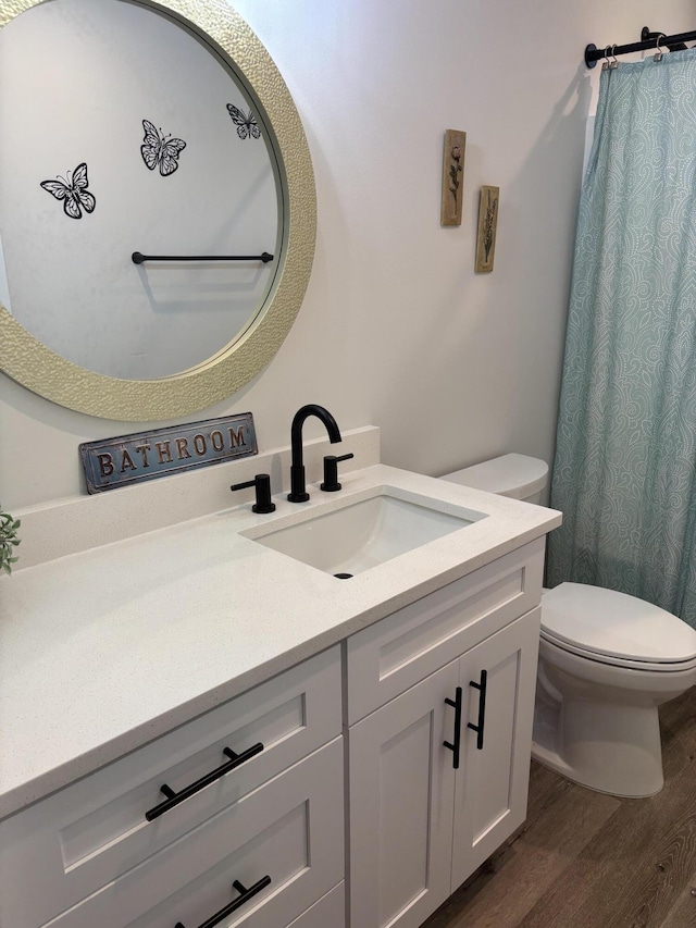 bathroom featuring a shower with shower curtain, toilet, wood finished floors, and vanity