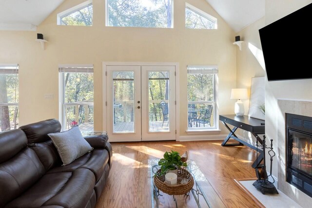 living room with a fireplace, french doors, and a healthy amount of sunlight