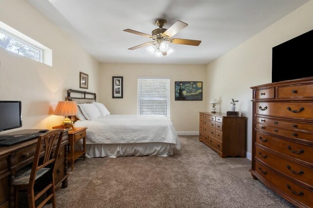 bedroom with multiple windows, a ceiling fan, baseboards, and carpet floors