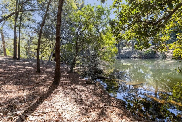 view of nature featuring a water view