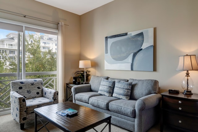 living area with plenty of natural light