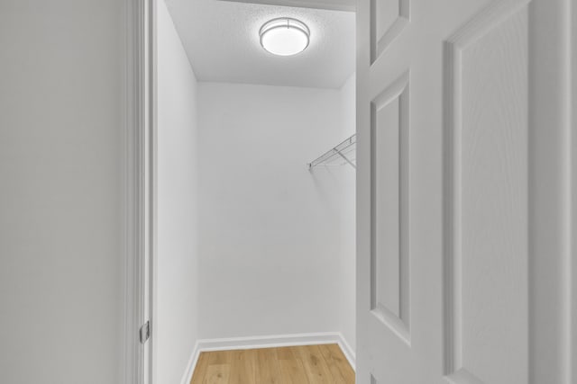 walk in closet featuring light wood finished floors