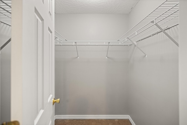 walk in closet with carpet floors