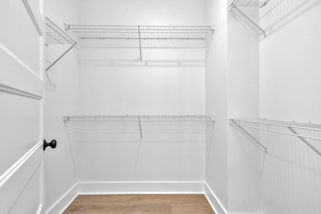 walk in closet featuring wood finished floors