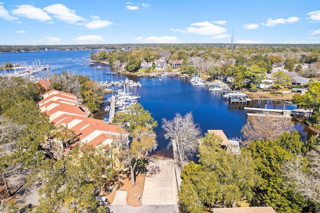 aerial view with a water view