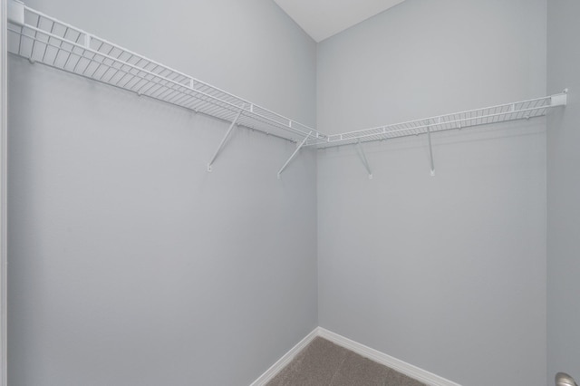 walk in closet with carpet