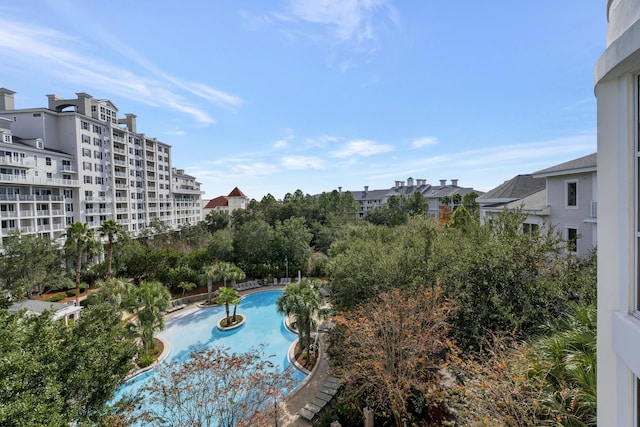 view of community pool