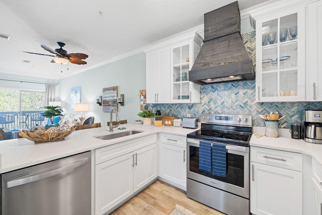 kitchen featuring tasteful backsplash, custom range hood, a peninsula, stainless steel appliances, and a sink