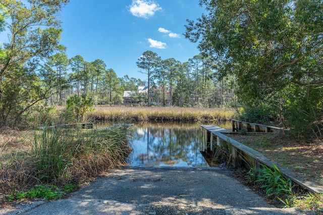 dock area with a water view