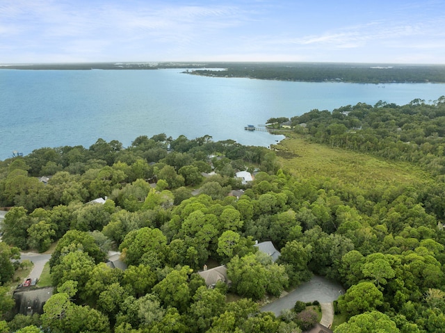 aerial view with a wooded view and a water view