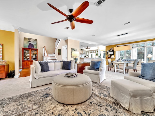 carpeted living room featuring visible vents, a ceiling fan, ornamental molding, and stairs