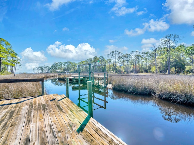 dock area with a water view