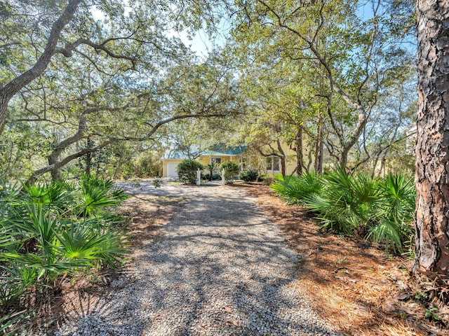 view of street with gravel driveway