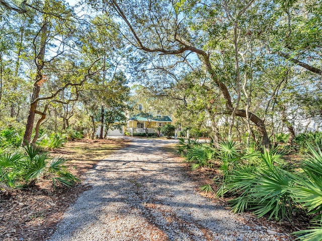 view of street with driveway