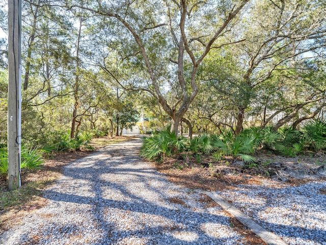 view of road featuring driveway